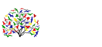 Birds&Branches Consulting