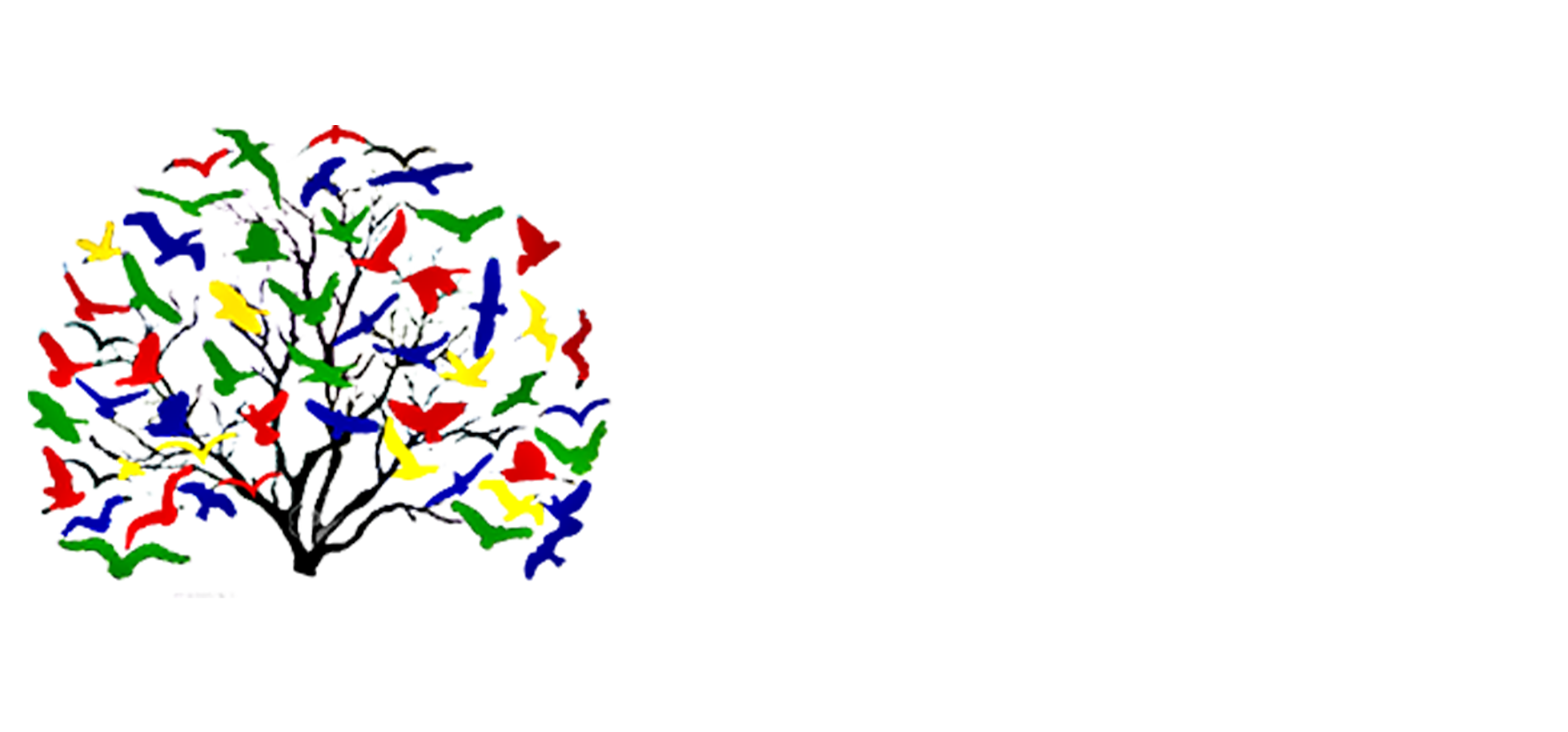 Birds&Branches Consulting